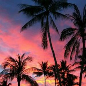 Meet your Posher, Lilian